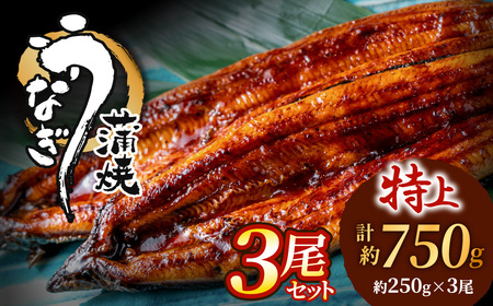 AF098.うなぎ蒲焼き3尾セット（約250g×3尾）