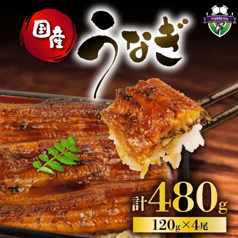 国産 鰻 120g 蒲焼 4尾 鰻