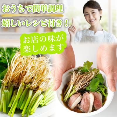 ふるさと納税 名取市 【期間限定】【10月上旬以降より順次出荷】「せり鍋セット」4、5人前(漁亭 浜や) |  | 01