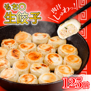 もち〇生餃子 【25個入×5パック 計125個】セット 詰め合わせ 餃子のたれ 国産 ぎょうざ 餃子 餃子 餃子 餃子 餃子 餃子 餃子 餃子 餃子 【ASN0011】