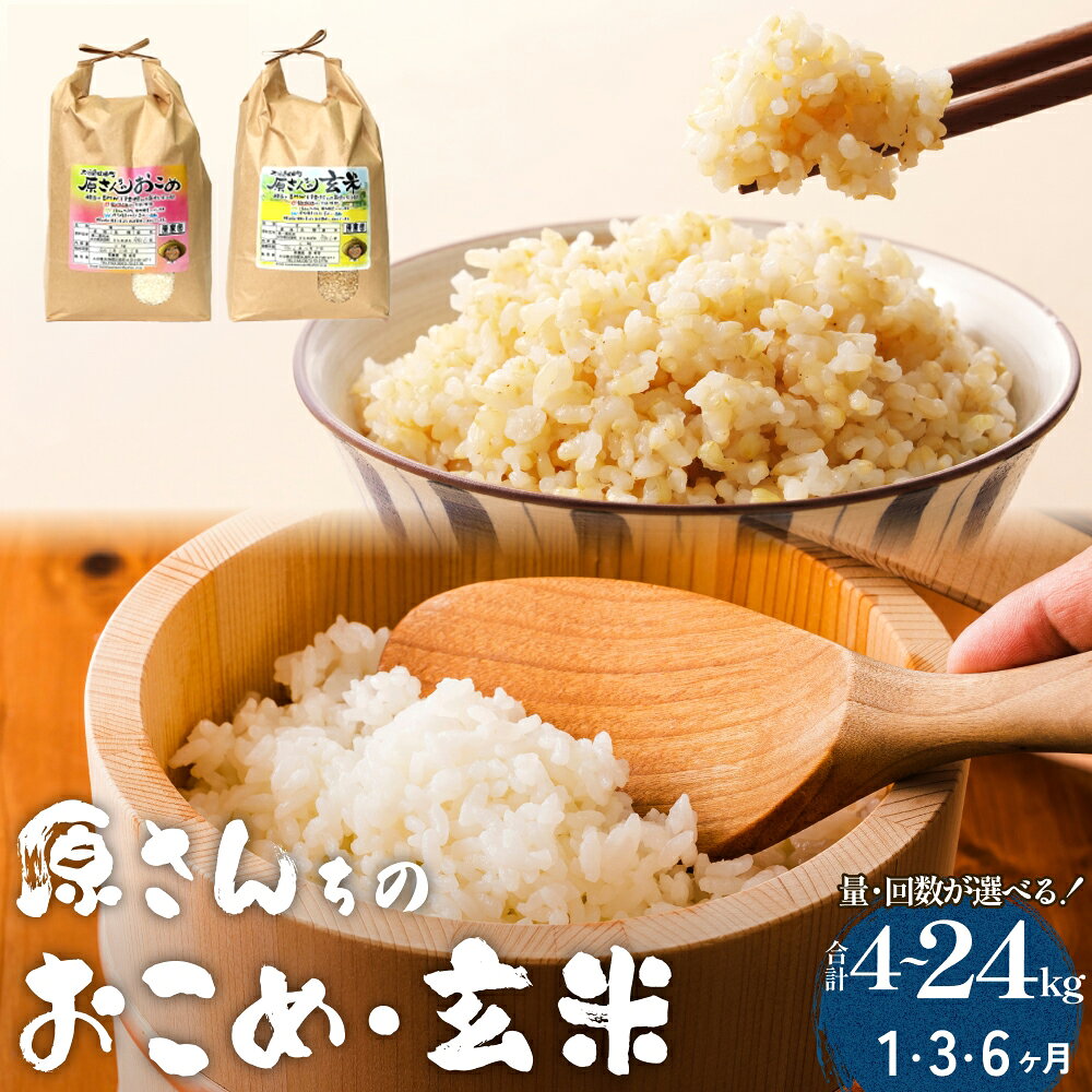 【ふるさと納税】【令和8年産】原さんちのお米 白米 玄米 4kg -10kg 1回 3回 6回 選べる 定期便 ひのひかり 米 お米 こめ コメ ご飯 ヒノヒカリ 常温 大分県 大分 玖珠町 玖珠