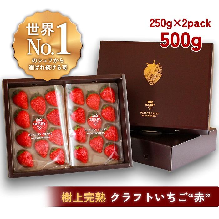 【ふるさと納税】【完熟クラフト苺BERRY】有名シェフ御用達【樹上完熟赤いちご】約500g（出荷2025年12月上旬～2026年5月下旬） | 食品 加工食品 人気 おすすめ 送料無料