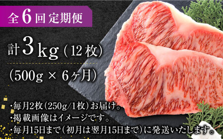 【全6回定期便】【溢れる肉汁と濃厚な旨味】博多和牛サーロインステーキセット 500g（250g×2枚） 広川町/株式会社MEAT PLUS[AFBO007]