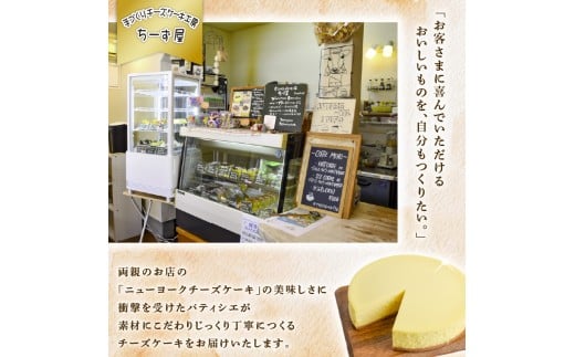 高知県安芸市産　ニューヨークチーズケーキ（直径約18cm） 【 ふるさと納税 人気 おすすめ ランキング ちーず けーき チーズケーキ ちーずけーき 生クリーム バター たまご 高知県 安芸市 】 B