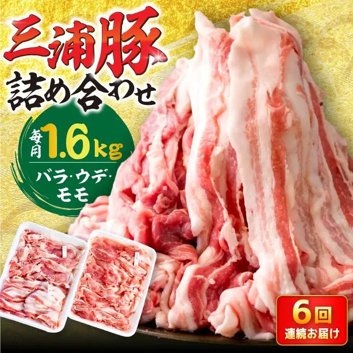 【6回定期便】 特盛三浦豚 1.6kg 豚肉セット / 恵那市 / あづま精肉店 [AUDL007]