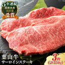 【ふるさと納税】国産 和牛 A5ランク 葉山牛 サーロインステーキ 計750g ( 250g × 3枚 ) A5 黒毛和牛 牛肉 500グラム サーロイン ステーキ 冷凍 人気 おすすめ 赤身 肉 【葉山牛ステーキレストラン 角車】[ASBD017]