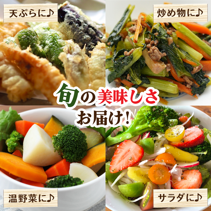 【定期便 毎月コース】豪華！野菜 セット 15品目以上 12回 定期  /  野菜 フルーツ きのこ バラエティ 詰め合わせ 南島原市 / 吉岡青果 [SCZ019]_イメージ4