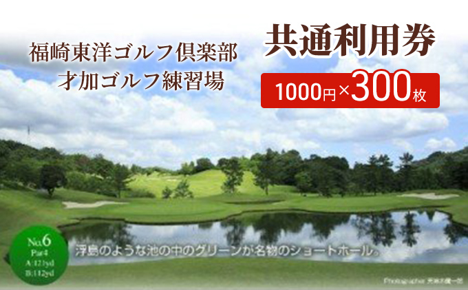 
[№5256-0379]福崎東洋ゴルフ倶楽部・才加ゴルフ練習場 共通利用券 1000円×300枚
