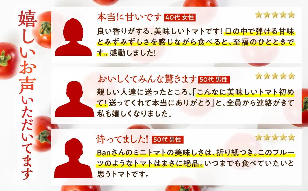 【トマト】≪先行予約≫糖度10度以上  Ban トマト