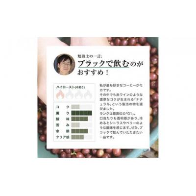 ふるさと納税 堺市 【豆】#123 エチオピア モカ シャキッソ ナチュラル G1 コーヒー豆 310g |  | 02