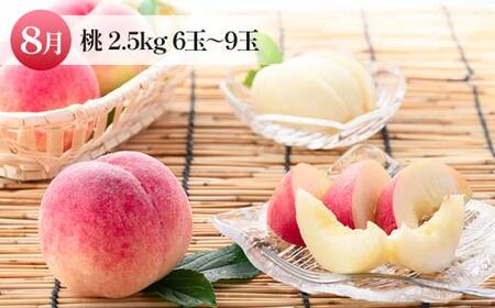 定期便 6月 佐藤錦 500g 8月 桃 6玉～9玉 9月 シャインマスカット 1房【令和8年発送】 FSY-2194