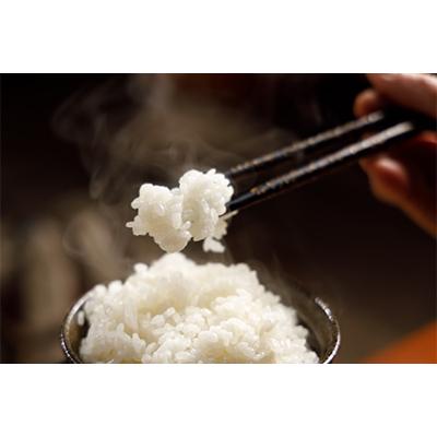 ふるさと納税 十日町市 【毎月定期便】【特別栽培米】頂米 金兵衛 魚沼産従来コシヒカリ(精米)5kg 全6回 |  | 02