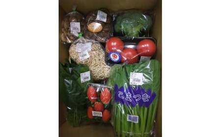 A-03 赤城南麓で育った季節の野菜