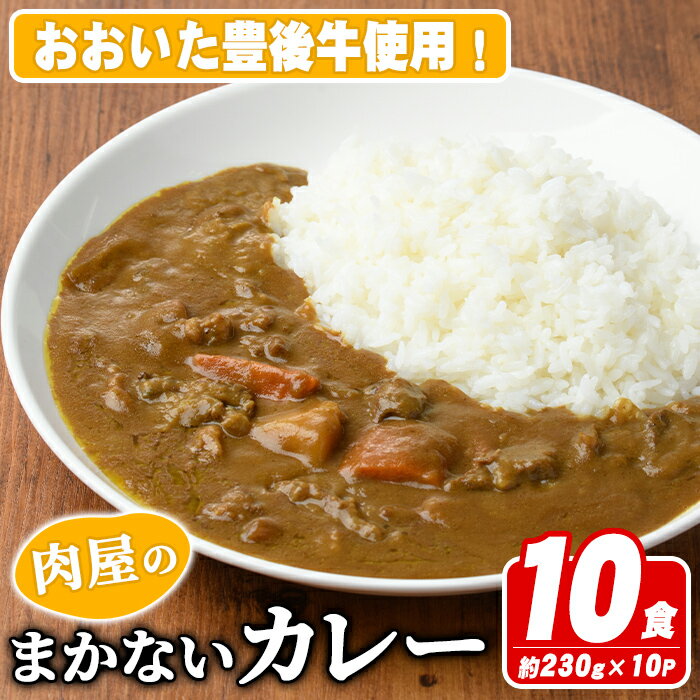 【ふるさと納税】肉屋のまかない豊後牛カレー(計2.3kg・230g×10P) カレー レトルト レトルトカレー 簡単調理 湯煎調理 ビーフカレー おおいた豊後牛 ご当地カレー【110200200】【吉野】