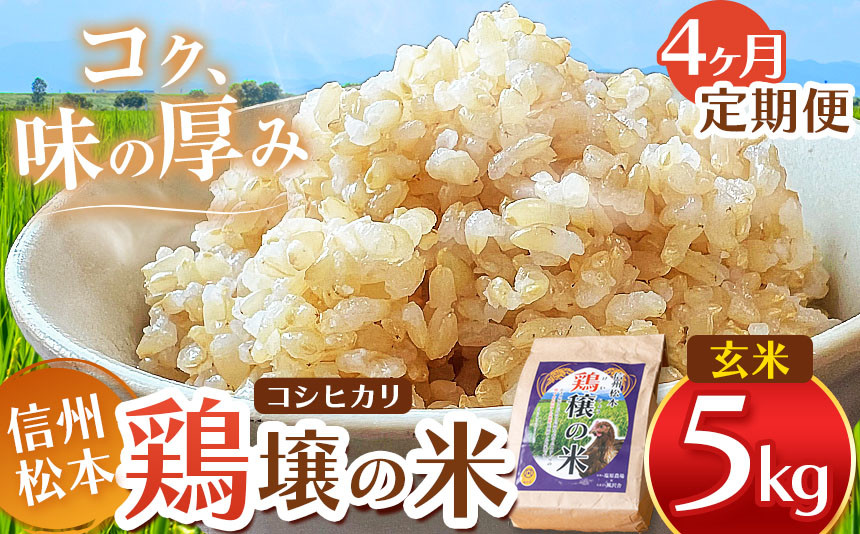 
            【４ヵ月定期便】鶏穣（けいじょう）の米　玄米 5kg  |  米 コシヒカリ こしひかり 玄米 鶏穣の米 信州 松本産 長野県 信州米 こめ 玄米 おこめ ごはん 銘柄米 信州産 ふるさと納税 定期便
          