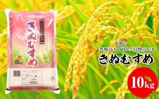 きぬむすめ 10kg 甲賀で丹精込めて育んだ自慢のお米 産地直送 キヌムスメ 米