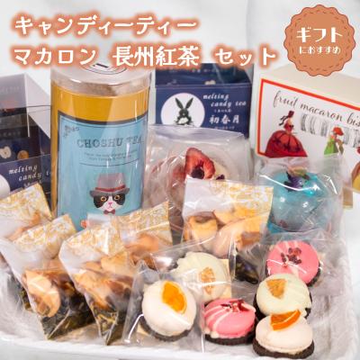 ふるさと納税 下関市 キャンディーティー マカロン 長州紅茶 セット ドライフルーツ LL006
