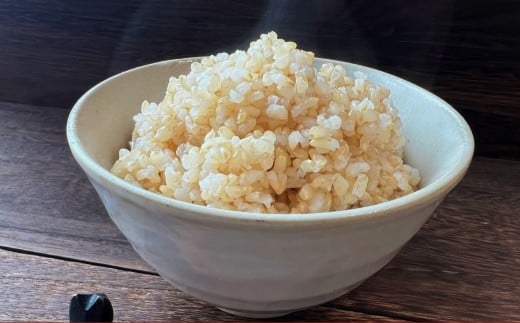 【令和7年産】 ゆめぴりか （玄米） 10kg×2袋 20kg 北海道 鷹栖町 たかすのおむすび 米 コメ ご飯 玄米 お米