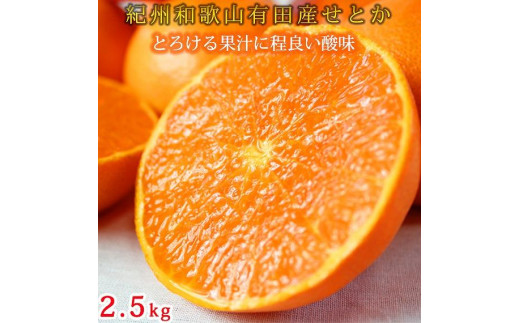 
            紀州有田産せとか約2.5kg　とろける食感！ジューシー柑橘【2026年2月上旬以降発送】【先行予約】【UT02】
          