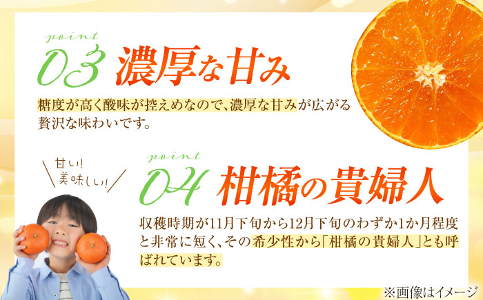 みかん 訳あり 愛果28号 約3kg サイズ不揃い【11月下旬から12月下旬まで順次発送】 / フルーツ 果物 蜜柑 ミカン オレンジ 訳あり 訳アリ 小玉 甘い 先行予約 3kg 愛媛 / 愛媛県砥