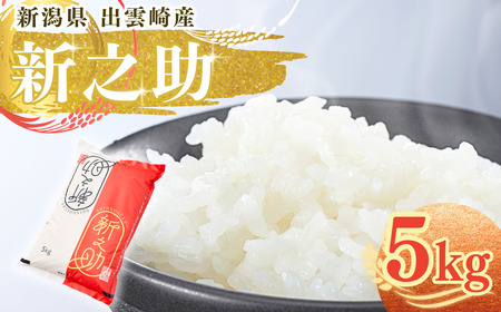 新潟県産 「新之助」 5kg 出雲崎 令和7年産 | 新之助 出雲崎町