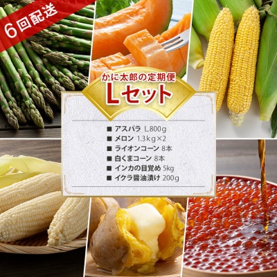 【発送月固定定期便】かに太郎定期便Lアスパラ　メロン　とうもろこし2インカ　イクラ03825_全6回【配送不可地域：離島】【4061467】