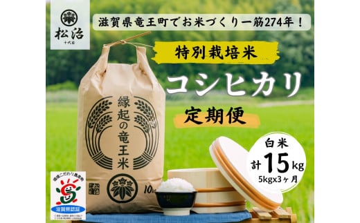 定期便 コシヒカリ 白米 5kg × 3ヶ月  縁起の竜王米  ( 令和7年産 新米 白米 15kg 定期 3回 お米 定期便 おこめ ごはん 米 特別栽培米 ブランド米 ライス こだわり米 ギフト 国産 滋賀県竜王町 )