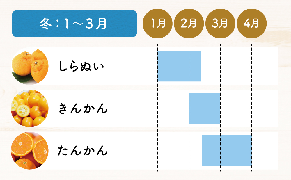 【定期便 全12回】旬のフルーツ・野菜 定期便 ［12種類］ 果物 フルーツ シャインマスカット マンゴー メロン みかん 野菜 米 定期配送 鹿児島県産