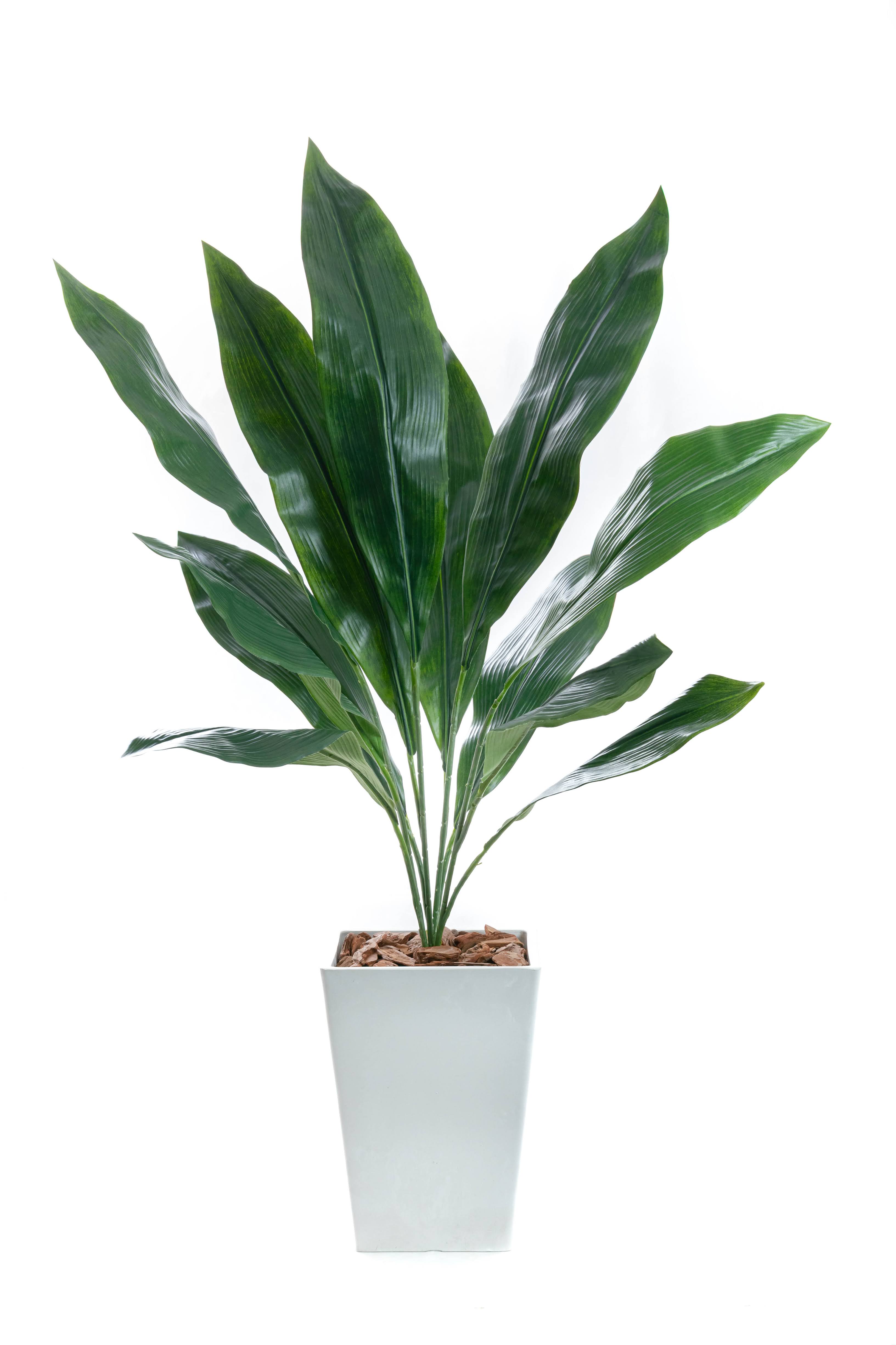 人工観葉植物　ハラン　白樹脂鉢Sサイズ付