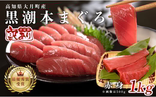 【12/23までの寄附で年内発送】 マグロ 訳あり まぐろ 本マグロ 刺身 赤身 1kg 養殖 本まぐろ さしみ 刺し身 ネギトロ ねぎとろ 漬け丼 海鮮丼 まぐろたたき 海鮮セット 柵 年末 年始 正月 高知県 大月町