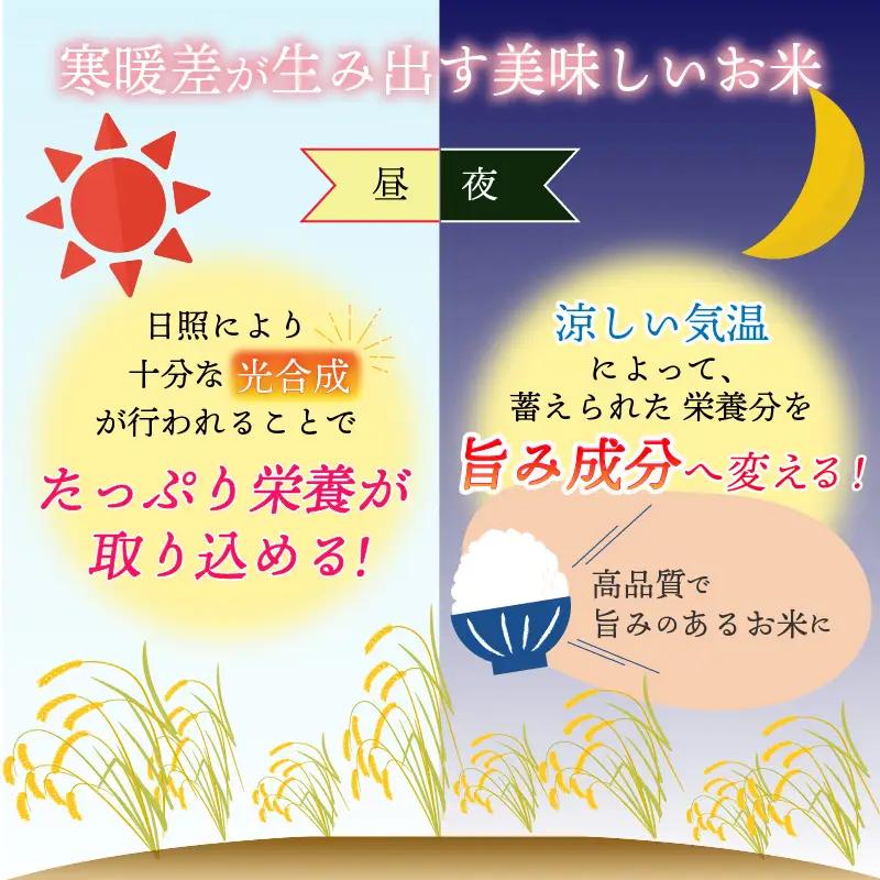 コシヒカリ 定期便 玄米 30kg コシヒカリ