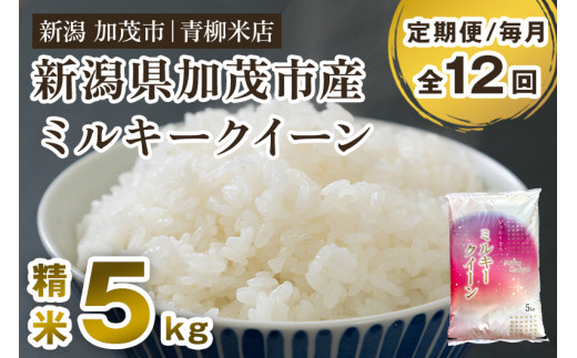 【令和8年産新米先行予約】【定期便12ヶ月毎月お届け】新潟県央地区 ミルキークイーン 精米 5kg 《9月下旬～順次出荷》 新潟米 新潟産 お米  白米 加茂市 青柳米店
