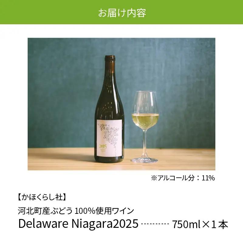 ワイン デラウェア ニアガラ 2025 750ml 河北町産 ワイン
