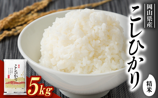 
                  ＜食味鑑定士厳選＞岡山県産 コシヒカリ5kg(5kg×1袋)【1643906】
                