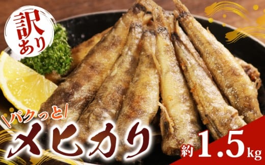 訳あり パクっとメヒカリ 約1.5kg めひかり 訳あり 目光 海鮮 魚 大容量 おかず 惣菜 魚介 焼魚 魚貝 フライ 南蛮漬け 唐揚げ バーベキュー レシピ おつまみ 弁当 朝食 昼食 夕食 米 にあう 酒 にあう 人気 手軽 冷凍食品 グルメ 贈答 贈物 ギフト 長期保存 小分け 便利 お取り寄せ BBQ 送料無料 冷凍 銚子港 水揚げ ふるさと納税 千葉県 銚子市 銚子 大一奈村魚問屋