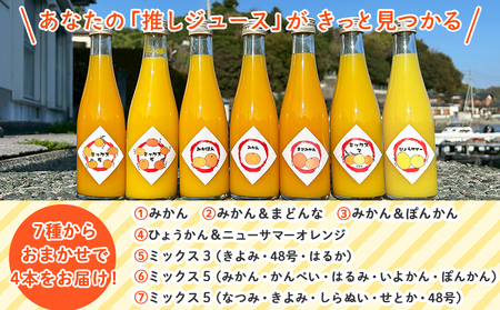 ＜一歩会 ジュエリーボックス ジュース飲み比べセット ミニ 300ml×4本入り＞ 愛媛 果汁 100% ジュース ストレートジュース みかんジュース セット 柑橘 飲料 オレンジ 特産品 渡江から一