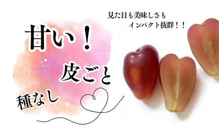 【2026年先行予約】粒がハート型！「マイハート」約1kg~1.2kg|ぶどう ぶどう マイハート