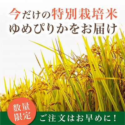 ふるさと納税 旭川市 【数量限定】令和7年産米 北海道産 特Aゆめぴりか 新米 玄米 お米 30kg_00236 |  | 01