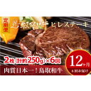 【ふるさと納税】 鳥取和牛 ヒレステーキ 6回定期便 （約250g×6） 牛肉 ヒレ 冷凍 和牛 ステーキ 国産 ブランド牛 黒毛和牛 肉 ヒレステーキ 定期便 最高級部位 希少部位 真空 鳥取県 倉吉市