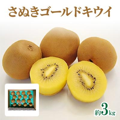 ふるさと納税 高松市 【先行受付2025年】さぬきゴールドキウイ　約3kg |  | 03