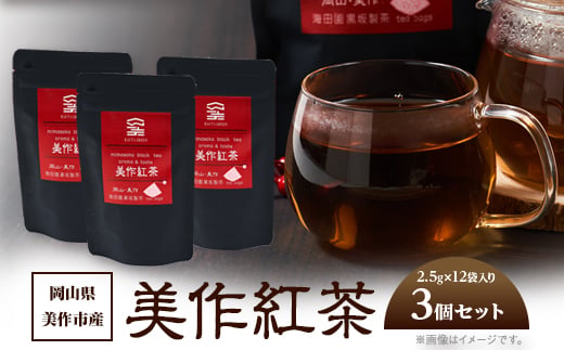 
                  岡山県美作市産＜美作紅茶＞30g(2.5g×12袋)×3個セット【1525349】
                