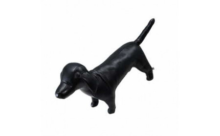 【M】Dog　Form　ミニチュアダックス