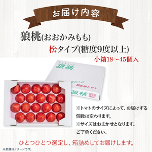 【先行予約／2025年3月中旬から発送】四万十育ち「狼桃」 糖度9度以上 松タイプ 小箱（18～24個入） Fdf-09 フルーツトマト トマト とまと 野菜 数量限定 期間限定 数量限定