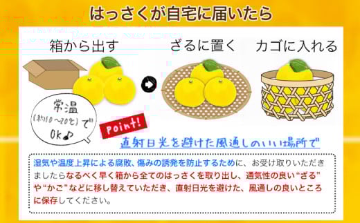 紅八朔（ポッポ） 5kg（3L〜L）JAわかやま 紀の里地域本部《3月中旬-4月中旬に出荷予定(土日祝除く)》和歌山県 岩出市 産地直送 みかん 八朔 柑橘 果物 フルーツ ビタミンC たっぷり