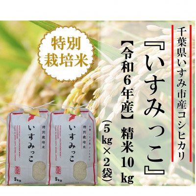 【令和6年産米】千葉県いすみ市産特別栽培米コシヒカリ『いすみっこ』精米10kg(5kg×2袋)