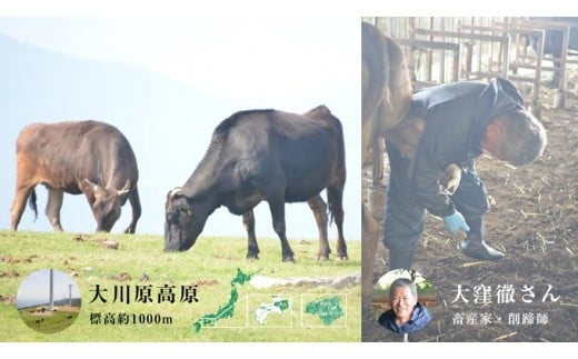 【年間10頭!】大川原高原牛 特選ロースステーキ 250g×2枚 計500g 冷凍便 肉の藤原 《30日以内に出荷予定(土日祝除く)》和牛 希少 大川原高原 牛肉 焼肉  ロース 牛肉 ステーキ 贅沢