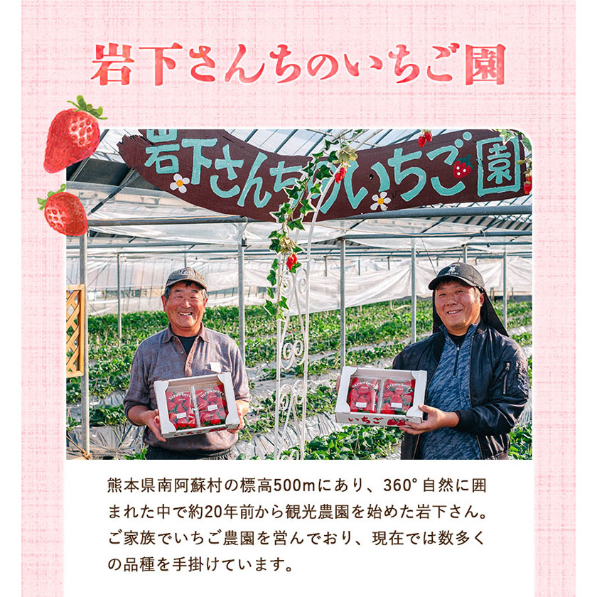 岩下さんちのいちご園 オリジナルミルフィーユ アイス 90ml×12個 熊本《60日以内に出荷予定(土日祝除く)》苺 イチゴ---isms_fiwmfyais_60d_22_15500_12p---