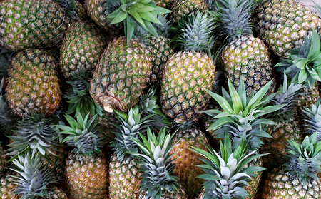 【贈答用：限定100セット】TADAO GOLD【ゴールドバレル】（2玉） ゴールドバレル タダオゴールド ただおごーるど 希少 最高級 沖縄県 東村 パインアップル 贈答用 贈り物 パイン 入手困難