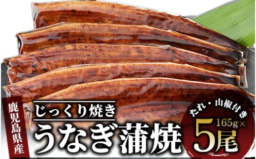 
【鹿児島県産】うなぎ蒲焼じっくり焼き約165g×5尾 化粧箱入り(大新/037-1106) うなぎ 国産 鹿児島 蒲焼 丑の日 丑 土用丑の日
