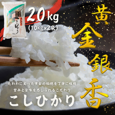 
            ～黄金銀香～〈福島県産〉コシヒカリ20kg(10kg×2)(精米)甘みと旨味が感じられるこだわりの米【1523704】
          